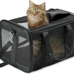 transportin gato coche_HITSLAM